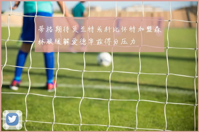 蒂格期待莫兰特或科比怀特加盟森林狼缓解爱德华兹得分压力