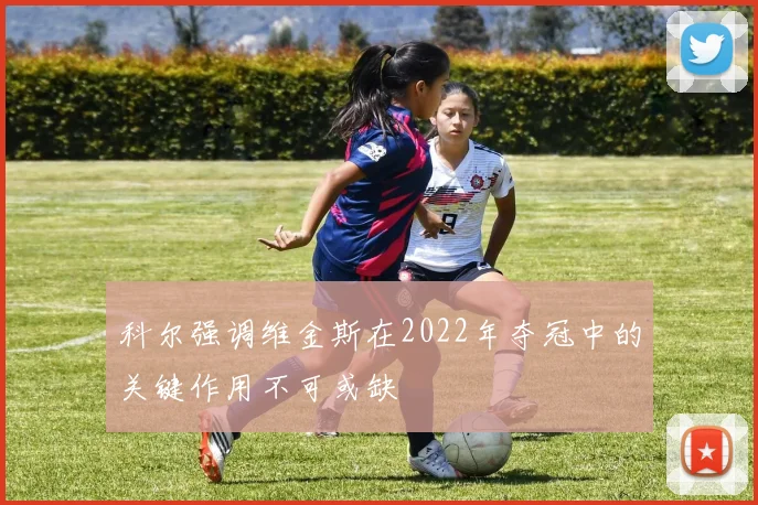 科尔强调维金斯在2022年夺冠中的关键作用不可或缺
